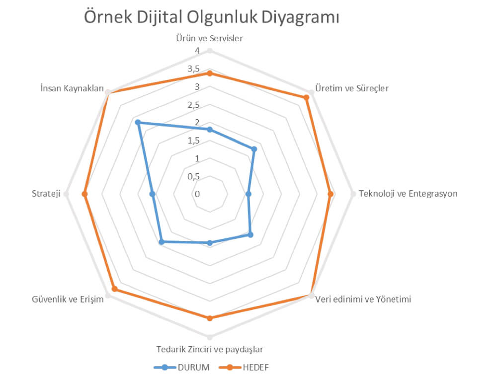 Dijital Olgunluk Diyagramı